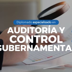 Auditoria y Control Gubernamental